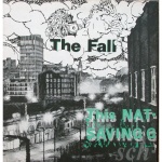 This Nation's Saving Grace (lp)