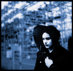 Blunderbuss (cd)