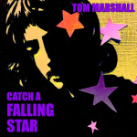 Catch A Falling Star (CD)