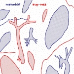 Eup*nea (CD)