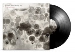 Understories (LP)