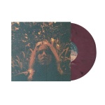 Peripheral Vision (LP)