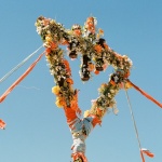 Flowers (LP)