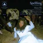 Mazy Fly (cd)
