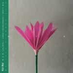 nen (cd)