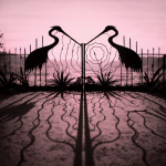 Soft Control (cd)
