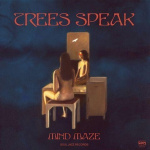 Mind Maze (CD)