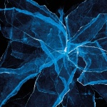 Shards (LP)