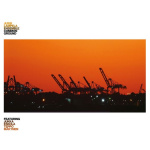 Common ground (lp)