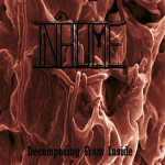 Decomposing from Inside (LP)