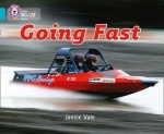 BIG CAT - GOING FAST