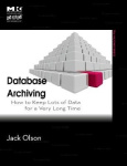 Database Archiving - How to Keep Lots of Data for a Very Long Time