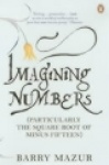 Imagining Numbers
