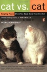 Cat vs. Cat - Keeping Peace When You Have More Than One Cat