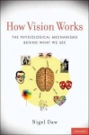 How Vision Works - The Physiological Mechanisms Behind What We See