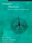 Synaptic Plasticity - Molecular, Cellular, and Functional Aspects