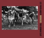 Workers - The Human Clay