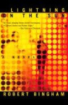 Lightning on the Sun - A Novel