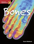 HER Advanced Science: Bones