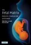 The Fetal Matrix: Evolution, Development and Disease