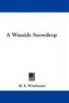 A Wayside Snowdrop