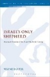 Israel's Only Shepherd - Matthew's Shepherd Motif and His Social Setting