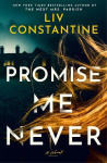 Promise Me Never - A Novel
