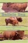 Buffalo Run