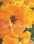Spring Bulbs