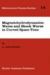 Magnetohydrodynamics: Waves and Shock Waves in Curved Space-Time