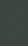 Milton Studies 46