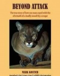Beyond Attack