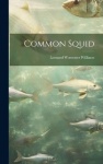 Common Squid