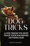 Dog Tricks - 15 Tricks You Must Teach Your Dog before Anything Else