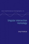 Singular Intersection Homology