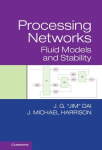 Processing Networks: Fluid Models and Stability
