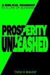 Prosperity Unleashed - A Biblical roadmap to a life of blessing