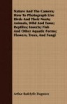 Nature And The Camera; How To Photograph Live Birds And Their Nests; Animals, Wild And Tame; Reptiles; Insects; Fish And Other A