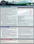 Salesforce - a QuickStudy Laminated Reference Guide