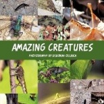 Amazing Creatures