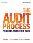 The Audit Process