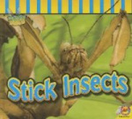 Stick Insects