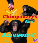 Chimpanzees