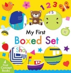 My First Boxed Set - My First Concept Books