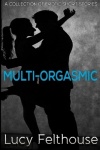 Multi-Orgasmic - A Collection of Erotic Short Stories