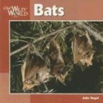 Bats
