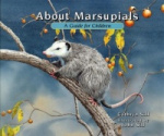 About Marsupials - A Guide for Children