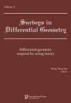 Differential geometry inspired by string theory