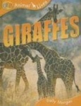 Giraffes