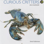 Curious Critters
